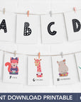 Printable Fun Pattern ABC Animal Alphabet Flashcards