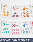 Printable Animal Number Flashcards